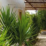 Bed & Breakfast Casa Balat *