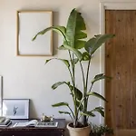 Casa Balat Bed & Breakfast