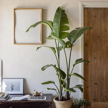 Casa Balat Bed & Breakfast