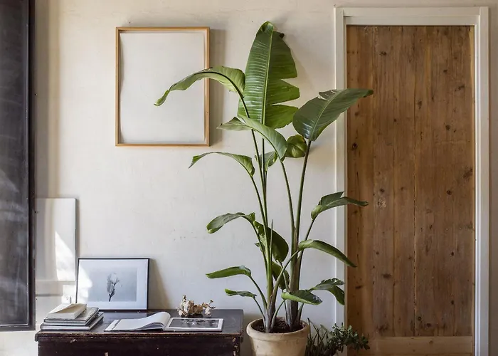 Casa Balat Отель типа 